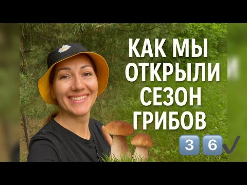Видео: Начало грибного сезона 🍄 Поехали в лес за белыми, маслятами и зонтиками!