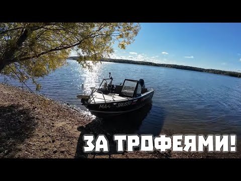 Видео: Готовимся к соревнованиям. Motorguide + Lowrance ВЕЩЬ! Конкурс.