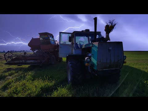 Видео: Молотим пшеницю, НИВА СК-5 І Т 150К. Квітка🌻