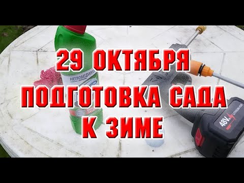 Видео: 29 октября.  Подготовка сада к зиме