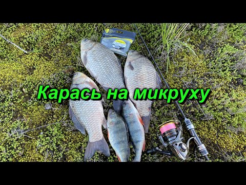 Видео: Ультралайт. Карась на микроджиг осенью