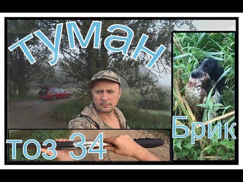 Видео: Охота на УТКУ в ТУМАН ЗАПРЕЩЕНА!Добил пачку НОВЫХ ПАТРОНОВ из ТОЗ 34))