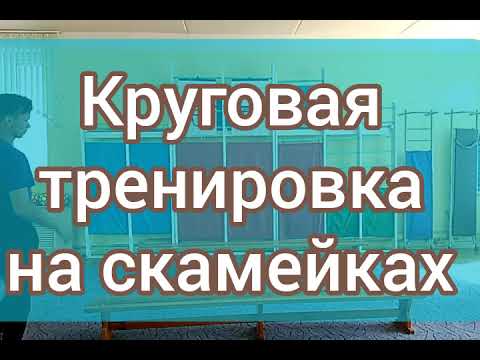 Видео: Круговая тренировка на скамейках