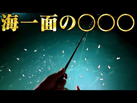 Видео: На поверхности воды среди ночи появилась стая супер-деликатесов! Попробовал всё выловить!