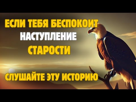 Видео: Сова, которая раскрыла глубокий смысл старости | История для размышления