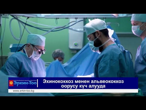 Видео: Сак болуңуздар! Эхинококкоз менен альвеококкоз оорусу күч алууда