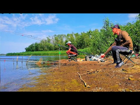 Видео: ЗНАЙШЛИ ВЕЛИКУ ЯМУ З РИБОЮ. Рибалка на поплавок і фідер