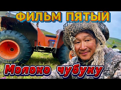 Видео: Фильм пятый . Молоко чубуку . Медведь ушел.. 
