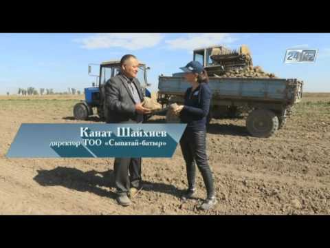 Видео: Большие города. Мерке - уникальный район в РК