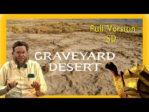Видео: Кладбищенская пустыня — 25 мин. — Стандартное разрешение