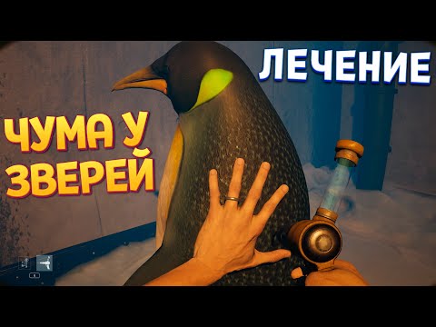 Видео: БОЛЕЗНЬ У ЖИВОТНЫХ ( Zoochosis )