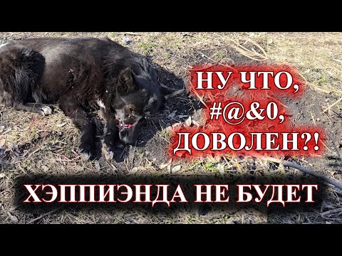 Видео: Безнаказанно зарубил тяпкой у всех на глазах.