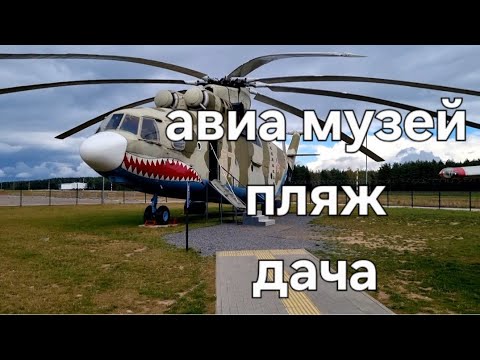 Видео: 🫶 Ловим тёплые мгновения осени