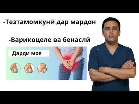 Видео: Варикоцеле-навори пурра дар ҳамин мавзӯъ