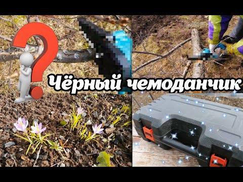 Видео: Черный ящик 🎁ЗАГАДКА) Снег сошел считаем потери | Будни садовода