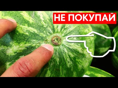 Видео: Как Найти Самый СОЧНЫЙ и СВЕЖИЙ Арбуз? Вот что нужно знать!