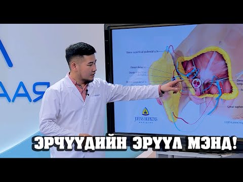 Видео: Шодойн хөвчрөлийн хямрал