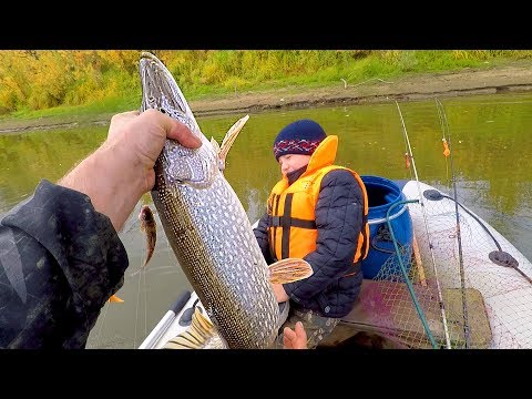 Видео: Как Выбрать место для Перемета и Жерлиц! Ловим Судака, Щуку и Налима! Первый день-2 часть!