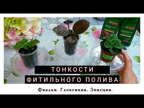 Видео: Все о фитильном поливе. Часть 3.