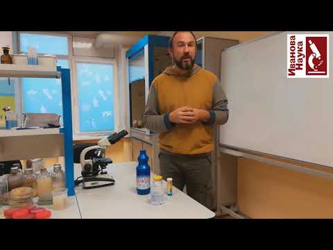 Видео: Перестаньте обливать кусты кипятком! Простое, дешевое и суперэффективное средство.