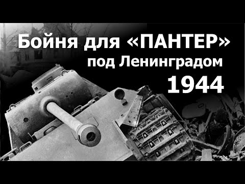 Видео: Бойня для "Пантер" под Ленинградом. 1944 г.