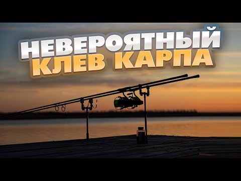 Видео: ТАКОЙ КЛЕВ - МЕЧТА КАЖДОГО РЫБАКА. ТУТ ОЧЕНЬ МНОГО РЫБЫ! Рыбалка на карпа. Обзор новинок