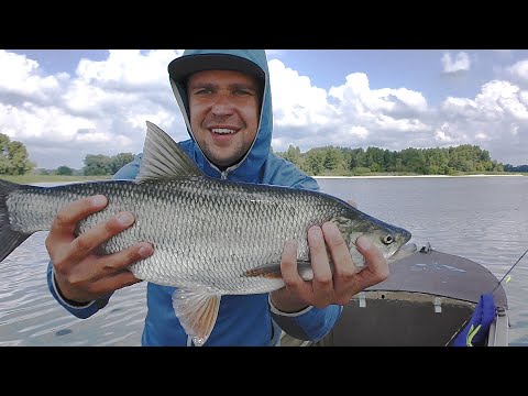 Видео: ПОПАЛ НА КОТЁЛ ЖЕРЕХА! КАК ПОЙМАТЬ? Рыбалка с лодки на реке Днепр