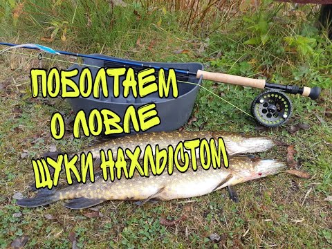 Видео: Рыбалка.Поболтаем о ловле щуки нахлыстом