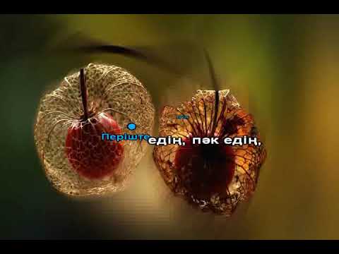 Видео: Аққуым караоке Қуандық Рахым