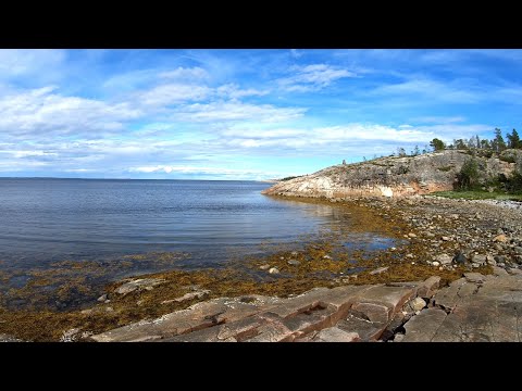 Видео: Морская рыбалка на джиг. Остров Сидоров. Белое море.
