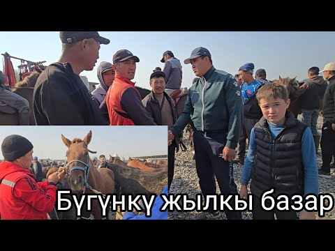 Видео: Бүгүнкү жылкы базар 18 октября 2025  Жалальабад #атбазар #жылкыбазар #арабскиелошади 