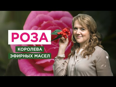 Видео: Роза | Эфирное масло для женского здоровья и красоты | doTERRA