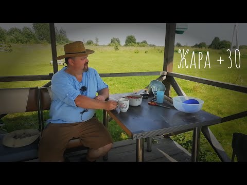 Видео: 12.07.2025 жара 30+