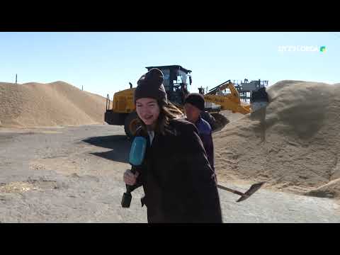 Видео: "Құдайы қонақ" Шиелі ауданы Бестам ауылында