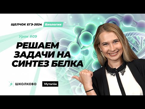 Видео: Щелчок по Биологии 2024| Решение задач на синтез белка