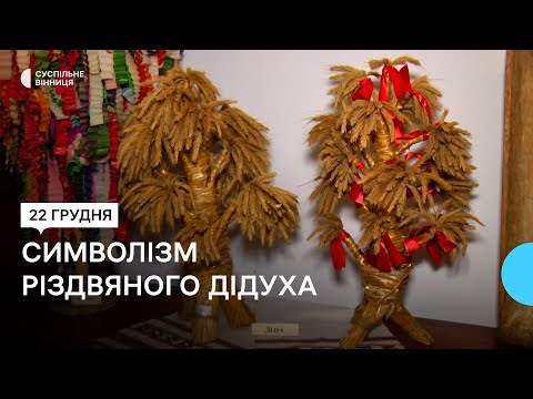 Видео: Альтернатива ялинці чи традиція: вінницька етнологиня пояснила символізм різдвяного дідуха