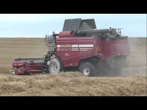 Видео: уборка ячменя Новыми конбайноми ГОМСЕЛЬМАШ GS12A1 PRO, Палессе GS12A1, GS12