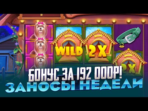 Видео: КУПИЛ БОНУС ЗА 192 000Р В DOG HOUSE И ВЗЯЛ ПРАВУЮ БОНУСКУ ЗАНОСЫ НЕДЕЛИ ИЛИ 0 СЮДА!!!