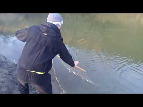 Видео: Рыбалка на экраны, Река лаба.МНОГО МЕЛОЧИ.