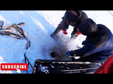 Видео: СЕТИ БРАКОНЬЕРЫ СУДАК В БУРАН  #браконьеры #fishing #судак #рыбалка