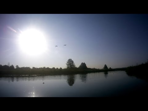 Видео: Рыбалка в Беларуси. Отличное открытие осеннего сезона. Выпуск 141.