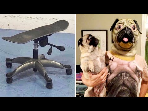 Видео: Чем дольше смотришь, тем больше непонятно