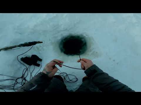 Видео: Серия √28 Спешим на рыбалку к чёрной дыре.