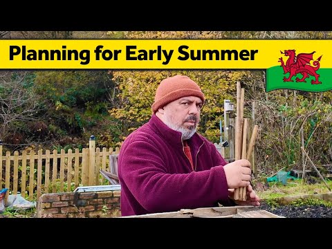 Видео: 329. Расслабляющее воскресное утро — Жизнь в одиночестве в Уэльсе