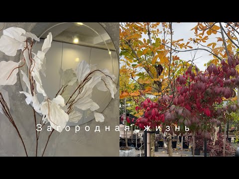 Видео: КРАСИВОЕ ПРЕОБРАЖЕНИЕ В ДОМЕ🔥 ГОРТЕНЗИИ СО СКИДКОЙ🍁МУЖ ПОСТРОИЛ НОВЫЙ ДРОВЯНИК🥴ПОКУПКИ В WB #ДОМ#САД