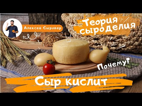 Видео: Сыр кислит.  Почему?