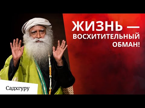 Видео: Как выйти из главной ловушки жизни?
