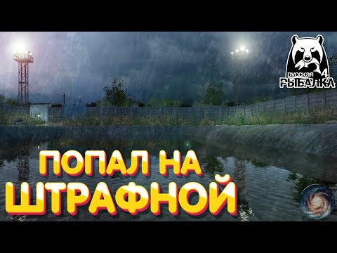 Видео: Попал на Штрафной | Где, как и на что ловить? | Что делать? | Русская Рыбалка 4