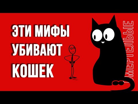 Видео: Хотите, чтобы кошки жили дольше 20 лет? Тогда избавьтесь от 7 мифов