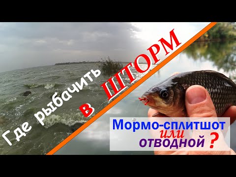 Видео: Где рыбачить в ШТОРМ? И на что: мормо-сплитшот или отводной?